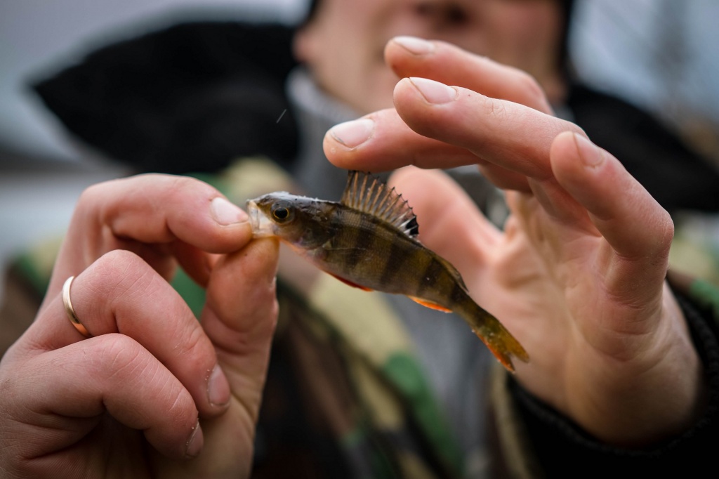 Ловля окуня на незнакомом водоеме зимой 00008.JPG